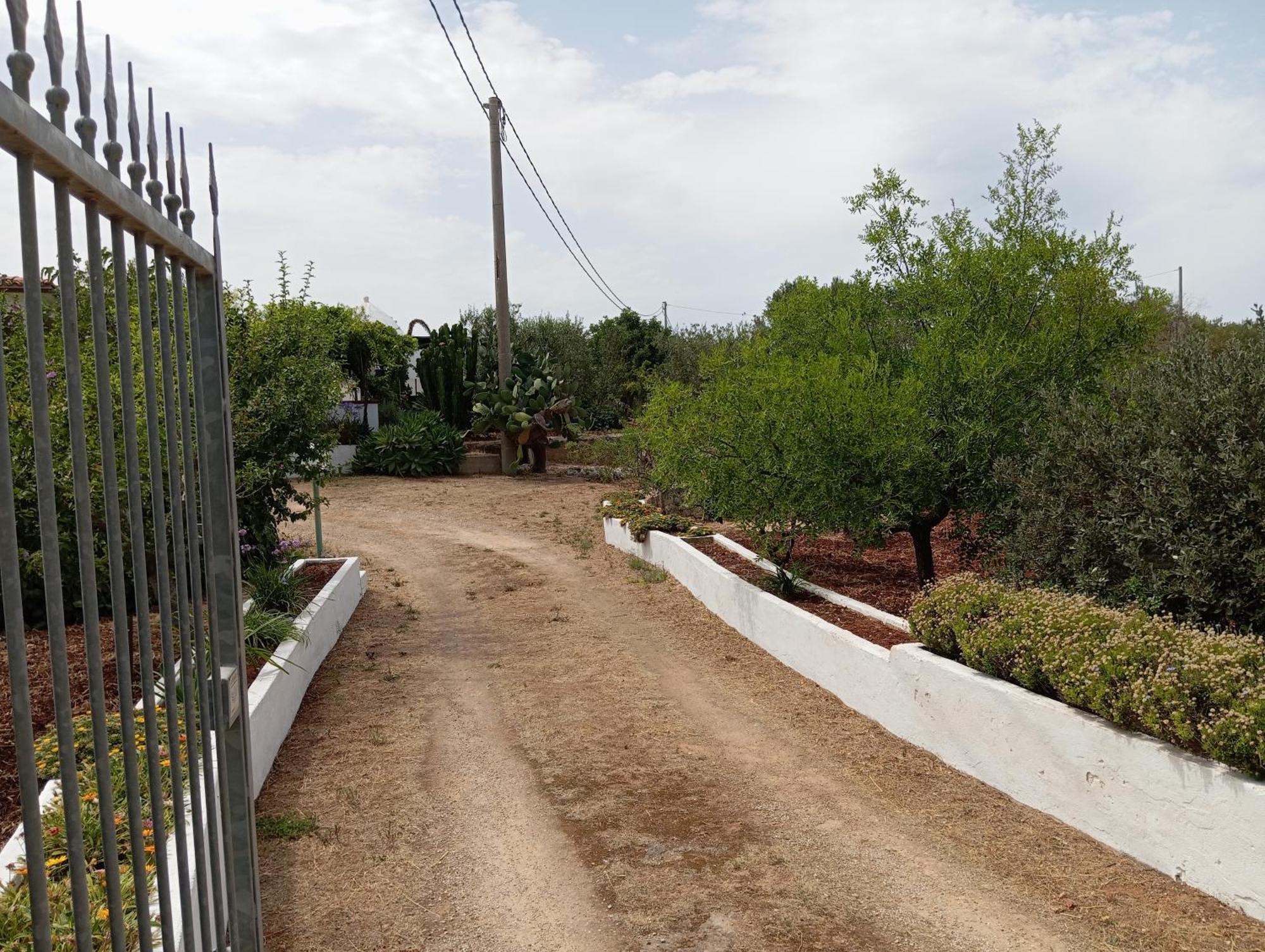 Villa Del Sole Specchiolla Zewnętrze zdjęcie