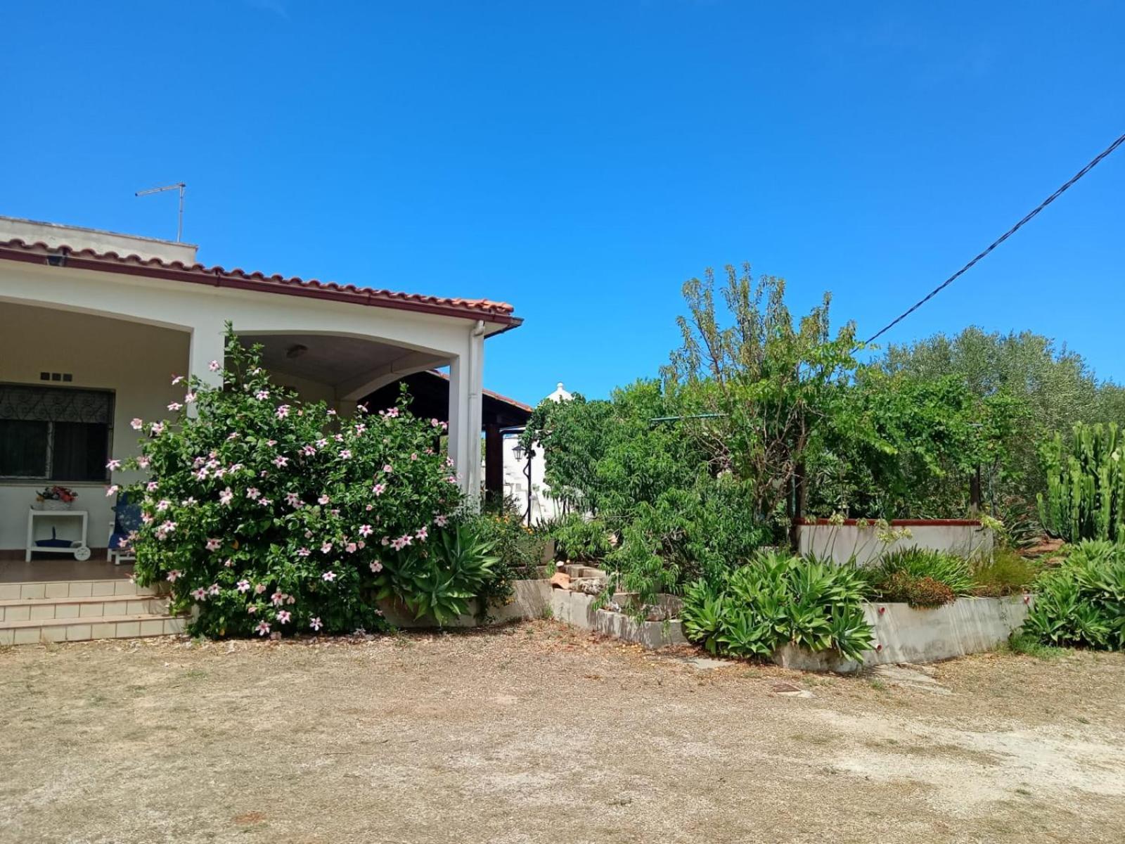 Villa Del Sole Specchiolla Zewnętrze zdjęcie